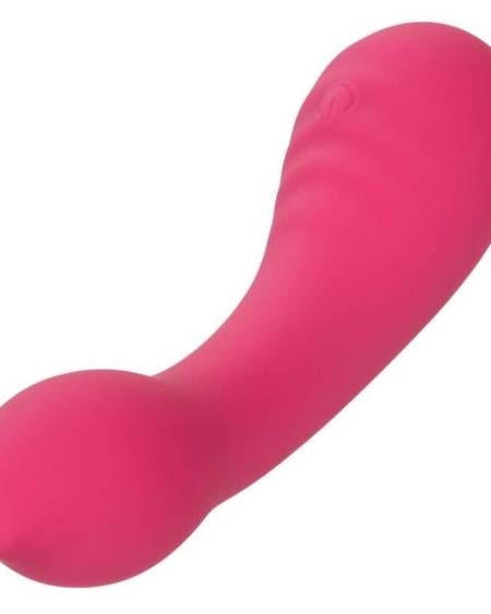 CALEXOTICS - PIXIES TEASER ROSE