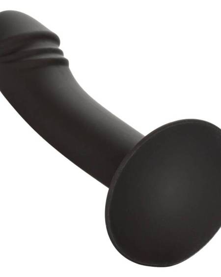 CALEXOTICS - STUD ANAL COURB?