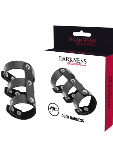 DARKNESS - DOUBLE ANNEAU DE PÉNIS ET TESTICULES EN CUIR RÉGLABLE