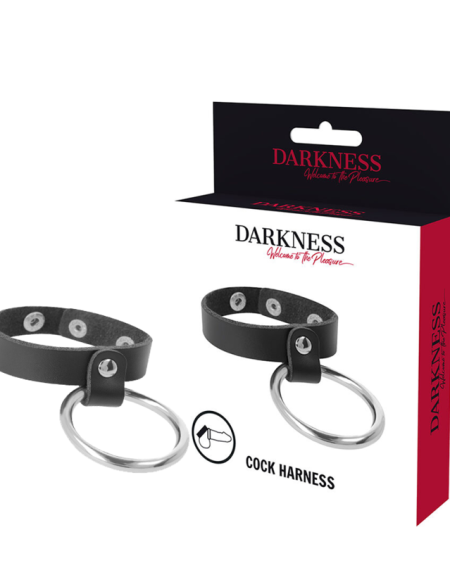 DARKNESS - ANNEAU MÉTALLIQUE POUR LE PÉNIS ET LES TESTICULES