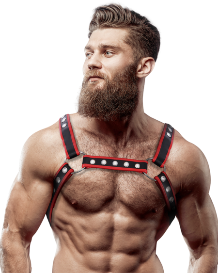 FETISH SUBMISSIVE ATTITUDE - HARNAIS DE POITRINE BULLDOG EN CUIR ÉCOLOGIQUE POUR HOMMES NOIR/ROUGE