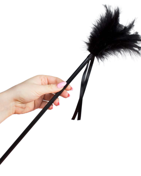 SECRETPLAY - PLUMES NOIRES 40 CM