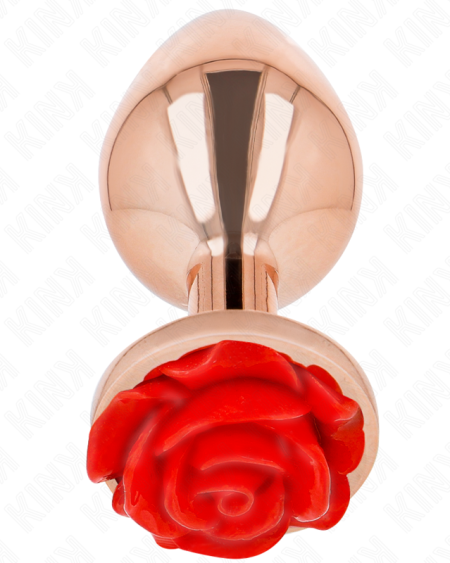 KINK - PLUG ANAL OR ROSE AVEC ROSE ROUGE L