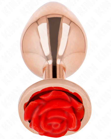 KINK - PLUG ANAL OR ROSE AVEC ROSE ROUGE S