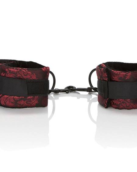 CALEXOTICS - SCANDAL ENSEMBLES DE BRACELETS UNIVERSELS