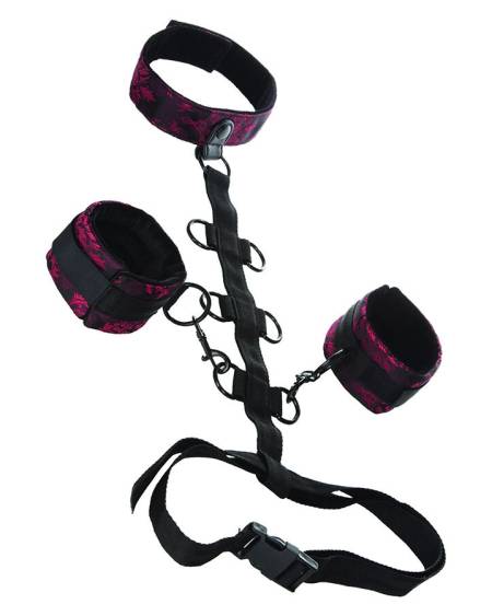 CALEXOTICS - SCANDAL SUPPORT COMPORAL  AVEC COU