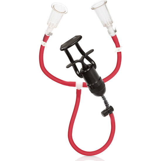 CALEXOTICS - ONDES DE STIMULATION DU MUSCLE DU POULAIN